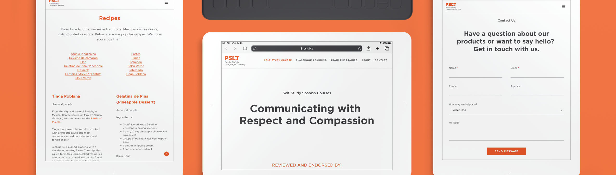 pslt longscroll 04 scaled
